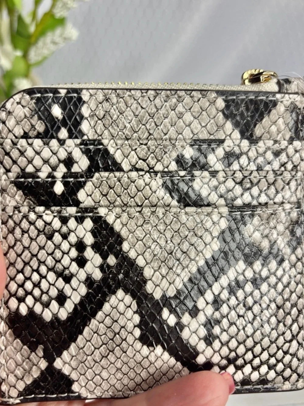 Michael Kors Snake-Print Leather Wristlet - NWT